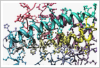Hamilton Biochemicals